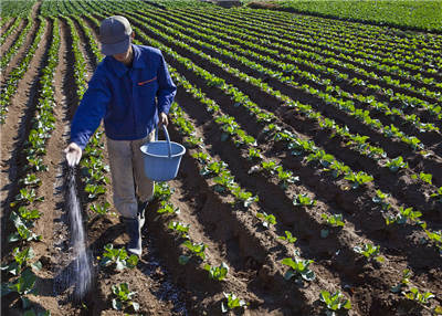 化學(xué)合成肥料檢測(cè)