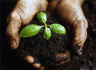 有機(jī)肥、微生物菌劑檢測(cè)